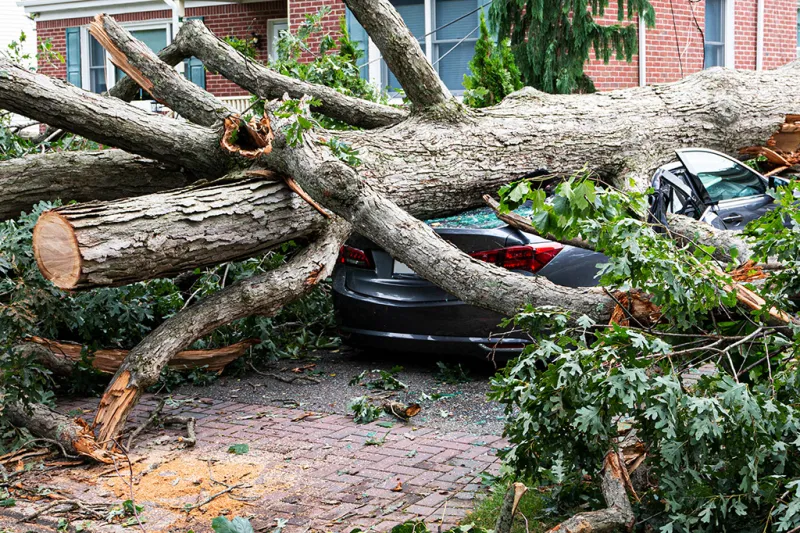 What To Do Next: Indiana's New Storm Recovery Texting Service