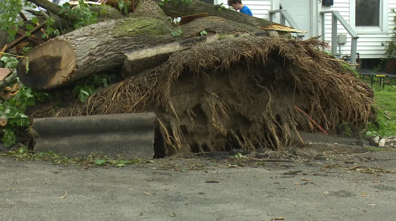 Gov. Braun announces SNAP benefits replacement for those living in some storm-impacted local ZIP codes