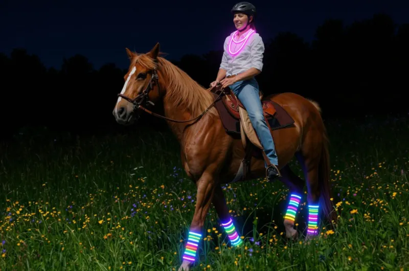 An Illinois Stable Is Transforming Its Trails Into a Unique Glow Ride