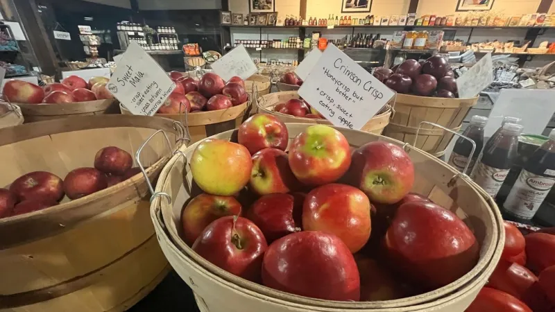Nappanee Apple Festival cancels parade amid storms, lightning risk