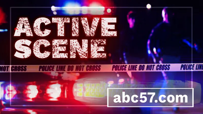 Shots fired in the 1300 Block of Bissell Street