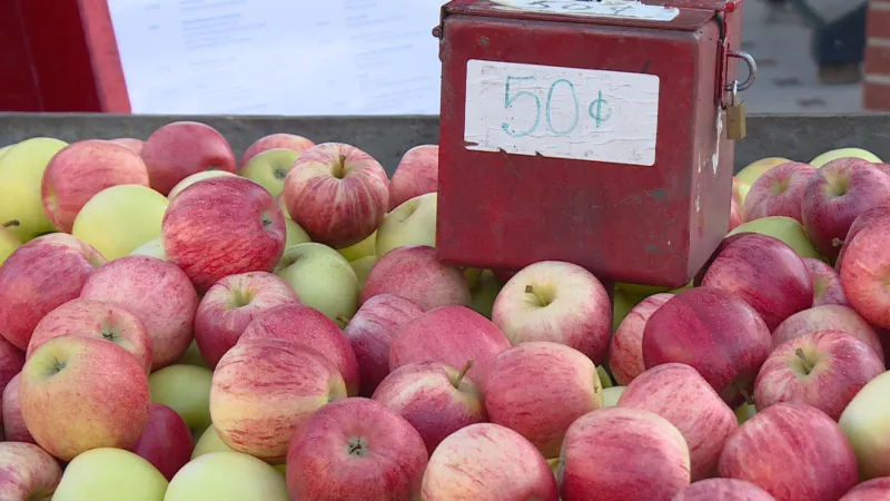 Nappanee Apple Festival pickleball tournament cancelled due to rain