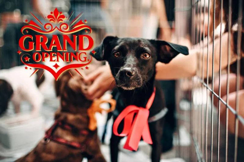 You Can Finally Tour Warrick Humane Society's New Home