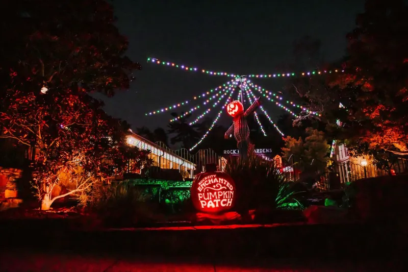 See Rock City's Enchanted Pumpkin Patch This Halloween