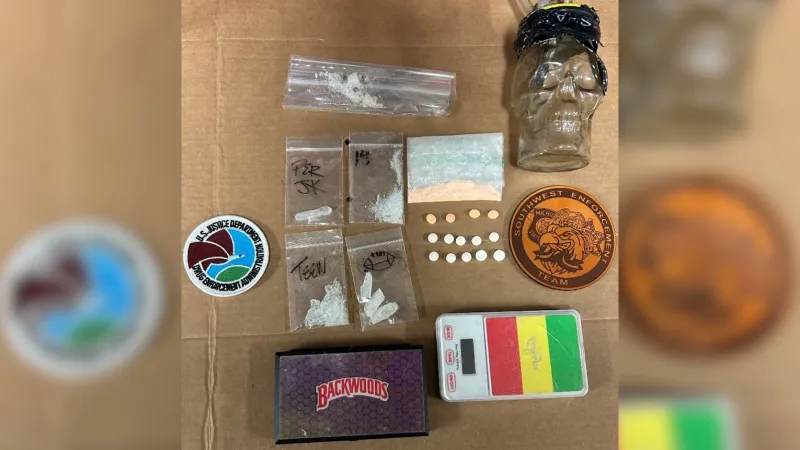 Narcotics search warrant execution leads to arrest in Berrien County