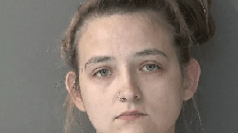 Woman pleads guilty in Kosciusko County buggy crash