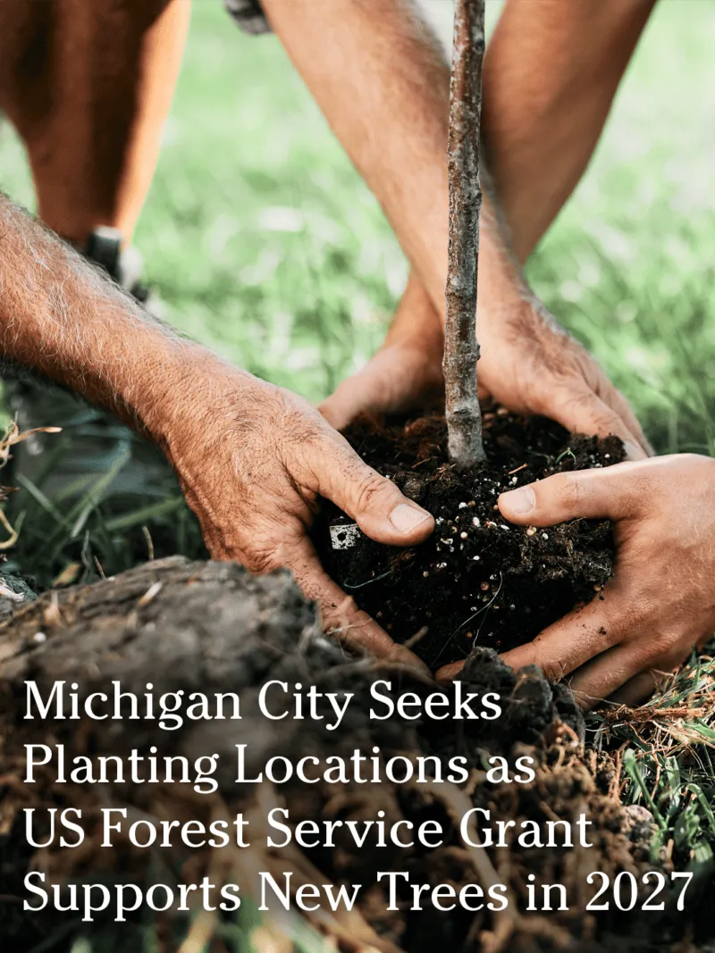 Michigan City Seeks Planting Locations as US Forest Service Grant Supports New Trees in 2027