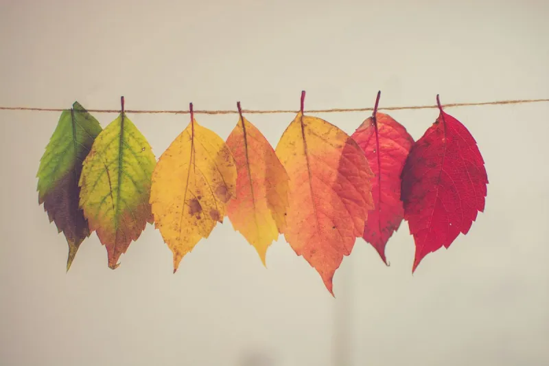 When Will Indiana's 2026 Fall Colors Peak? Well, Later Than You'd Probably Expect