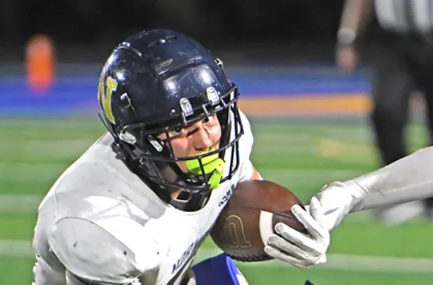 Explosive East Noble too much for Norwell