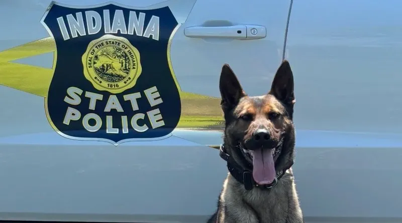 State police dog to receive protective vest from non-profit group