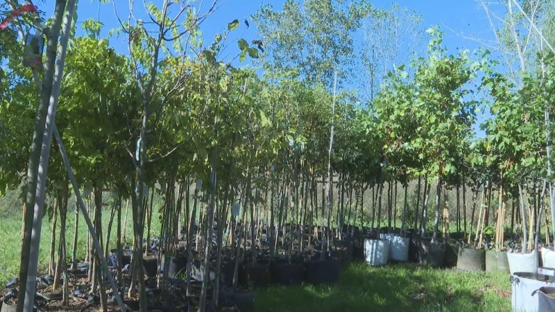 Volunteers race to plant 600 trees across Elkhart