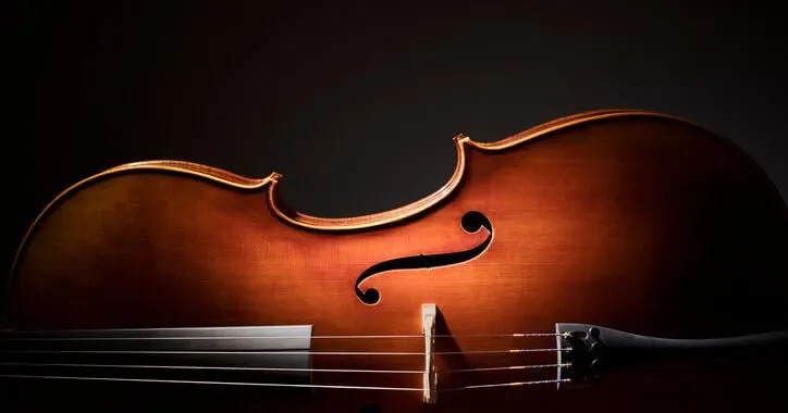 International Violin Competition of Indianapolis: concluding events