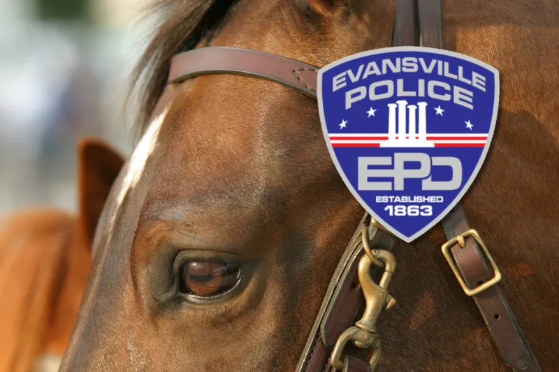 Meet the New EPD Mounted Patrol Horse at the Fall Festival