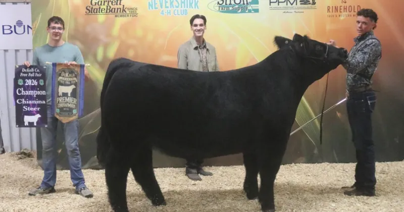 Williams repeats beef show victory