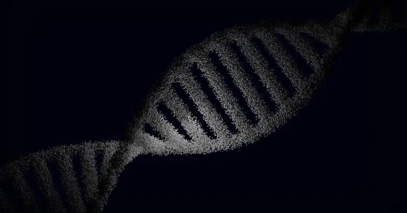 X and Y chromosomes shape how cells age and fight disease too