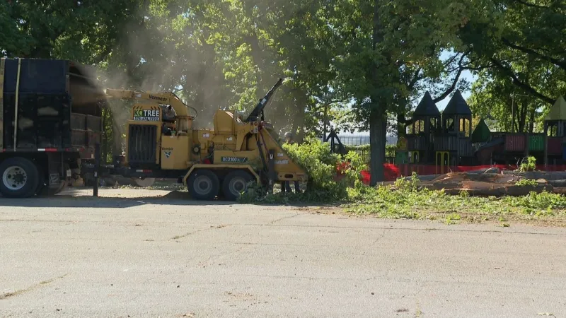 Neighbors show concern with city's tree removal plan near Kids Kingdom playground