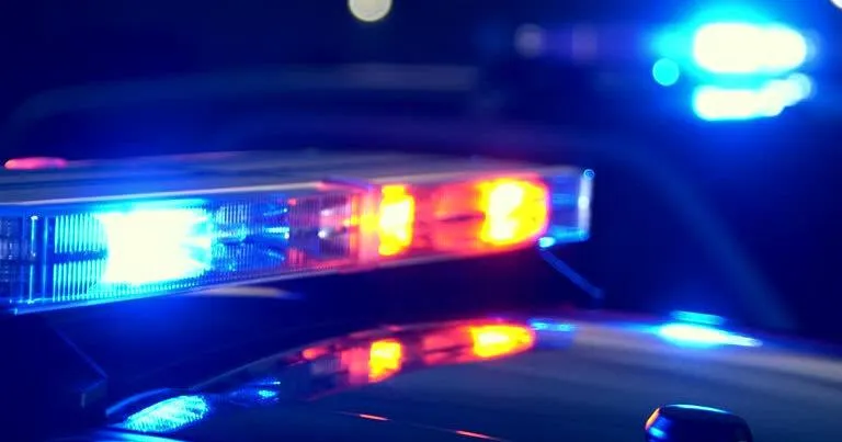 Northwest Indiana man accused of hurting cops during arrest at McDonald's in Hobart