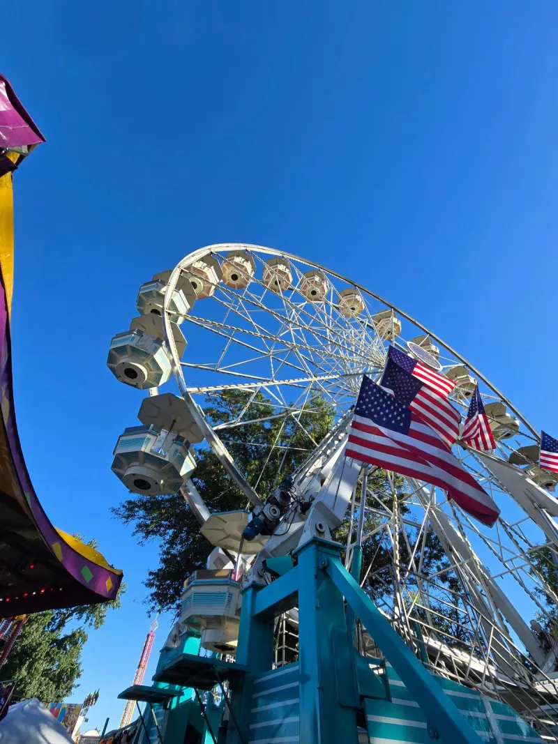 Look: 105th Fall Festival on Franklin Street