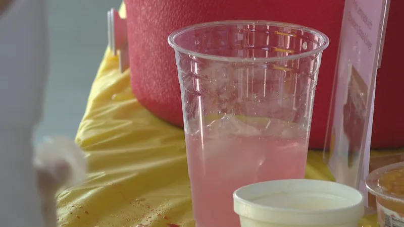 Mielke brothers testify before Michigan state senators on lemonade stand rules change