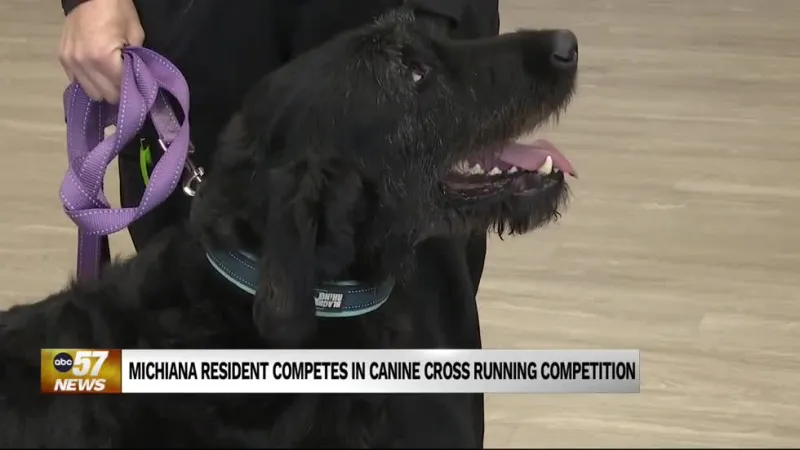 Melissa Tilley and dog Sloan to compete on Team USA at 2026 Pan-Am Canicross Championships in Mexico