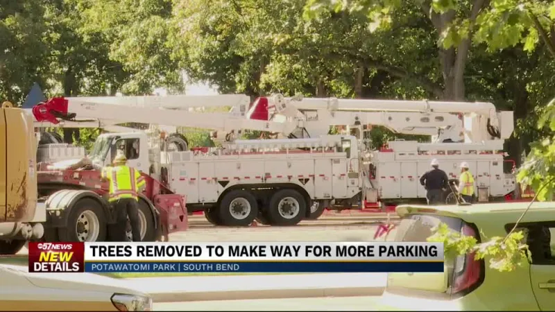 Potawatomi Park Tree Removal Update