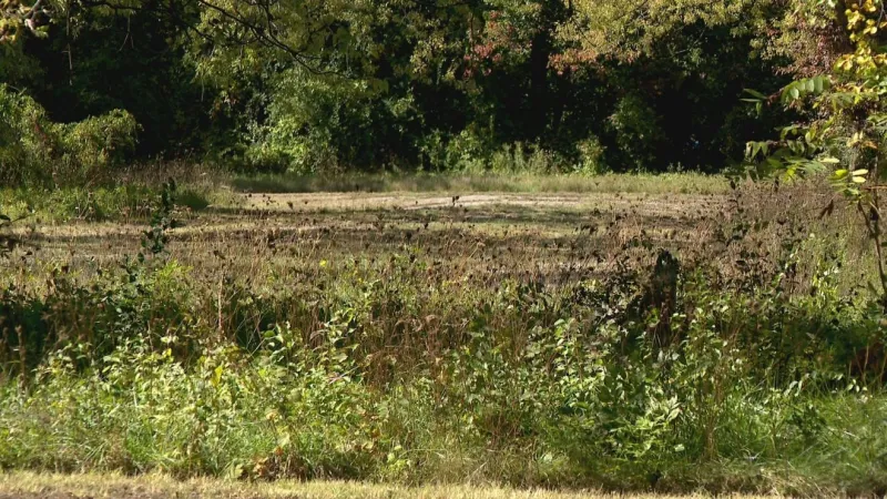 Estimated costs for planned senior housing development point to affordable housing