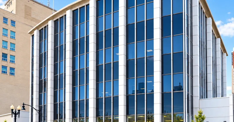 Flock, pet adoption facility and downtown development: What NWI government did this week