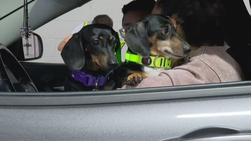 Humane Society and SBARC deliver 2,000 free rabies shots in St. Joseph County