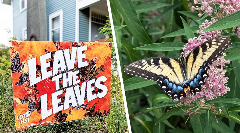 Leave The Leaves: An Eco-Friendly Approach To Fall Cleanup