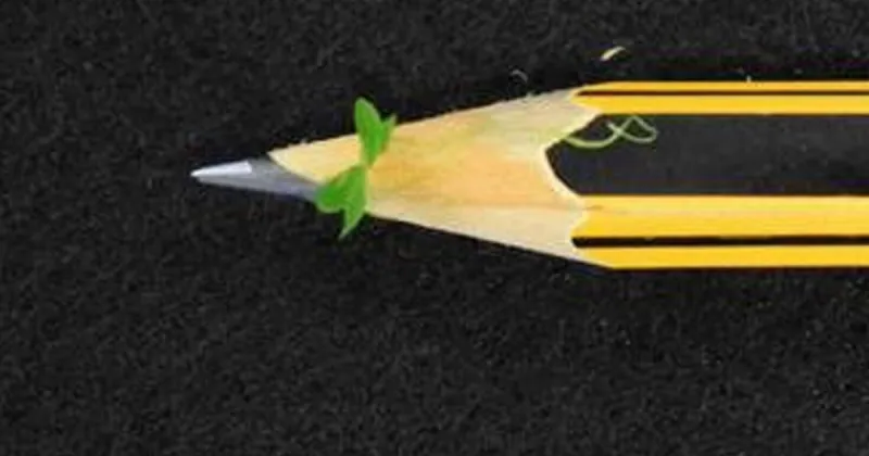 World's tiniest flowering plant could feed deep space astronauts