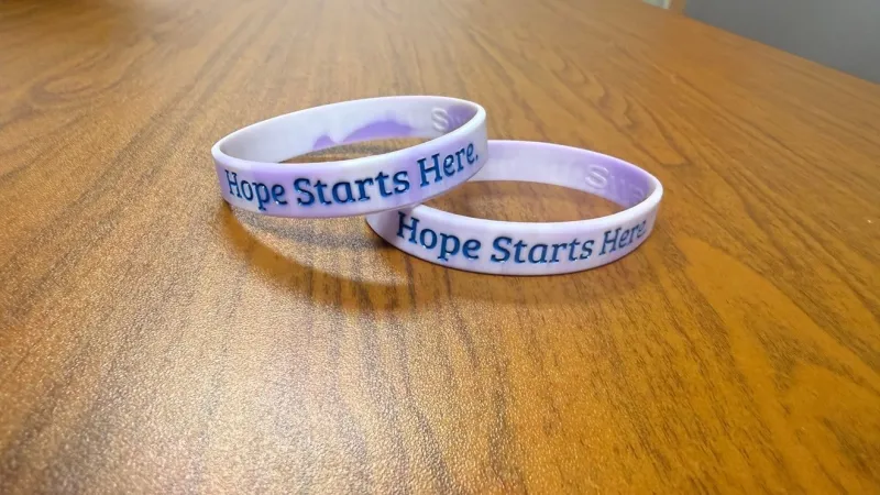 Coroner: Suicides hit record high in LaPorte County, making up 14% of deaths