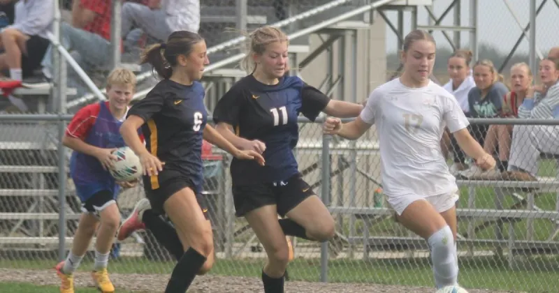 Warrior girls fall to Braves in sectional final