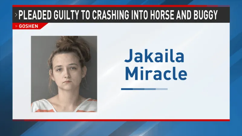 Goshen woman to be sentenced after pleading guilty to crashing into horse, buggy