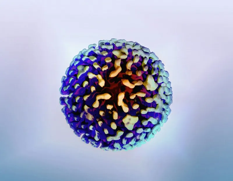 WAYNE COUNTY HAS 27% OF INDIANA'S MEASLES CASES