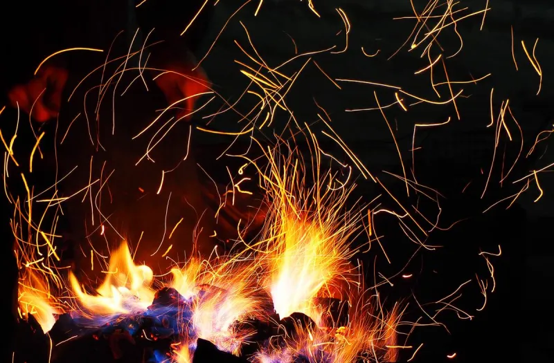 Bringing Firewood From Home? Here's Why Campgrounds Say No