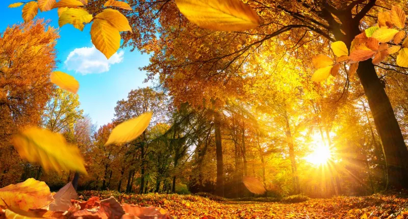 These Are My 5 Favorite Things About Fall in Indiana