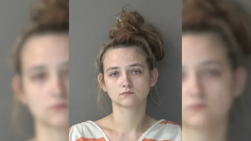 Goshen woman sentenced for drunk buggy crash that left four hurt, including baby