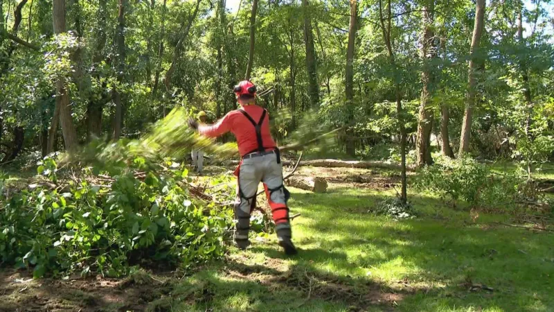 SBA expands disaster loan help for northern Indiana storm victims