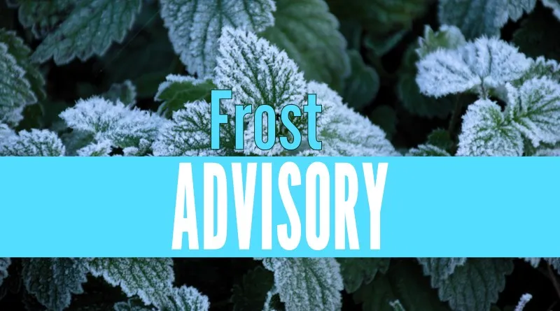 Forecasters warn of widespread frost overnight Saturday-Sunday