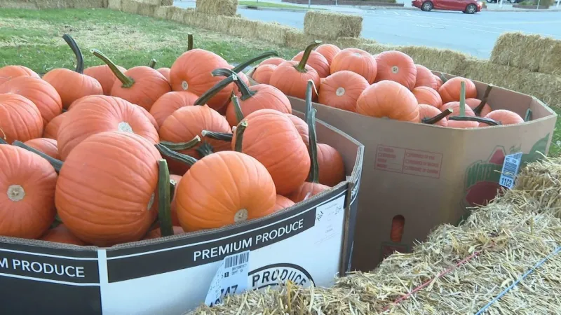 Costume parade, hayrides and trolley link parks for St. Joseph Downtown Spooktacular