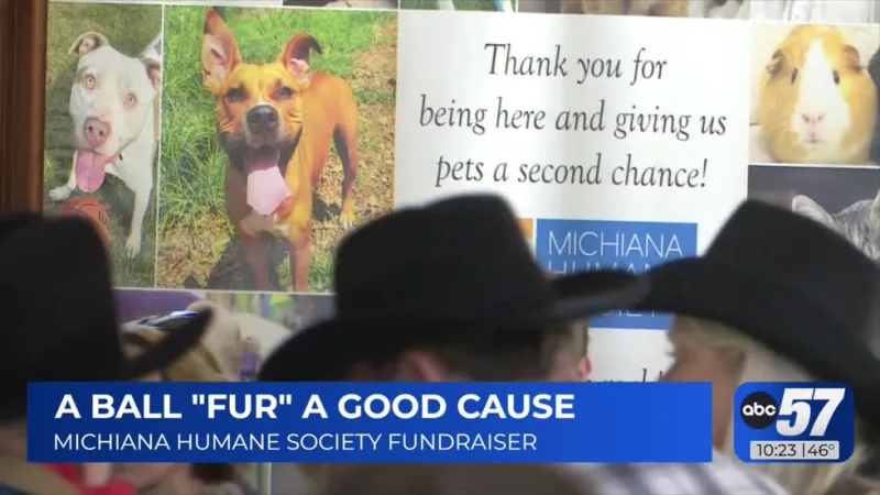 Fur Ball raises funds for shelter pets