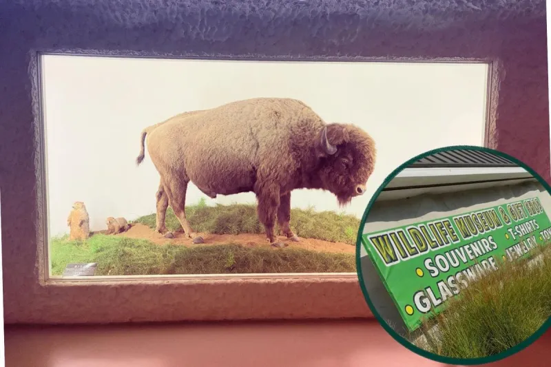 This Museum is a Must-See Kitschy Kentucky Attraction