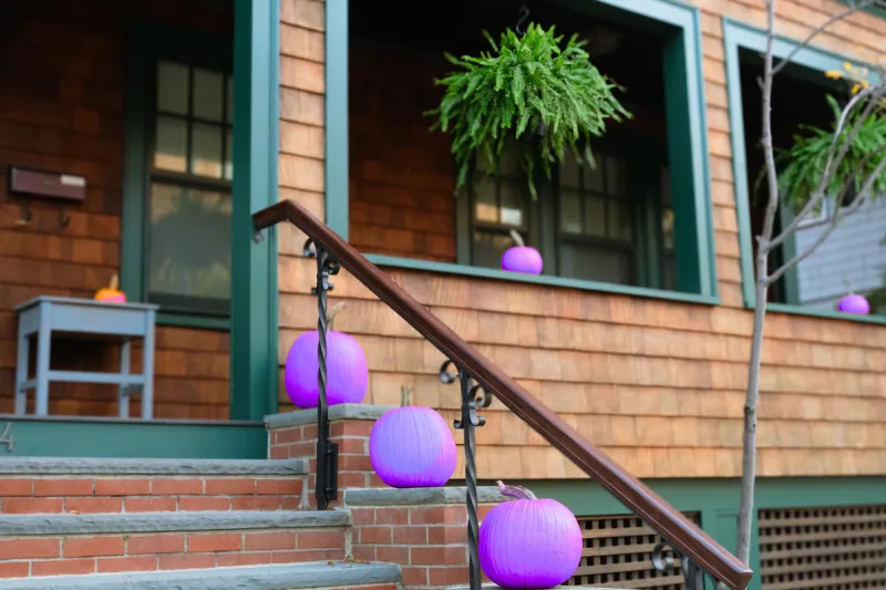 Why Are Purple Pumpkins Showing Up on Indiana Front Porches This Halloween?