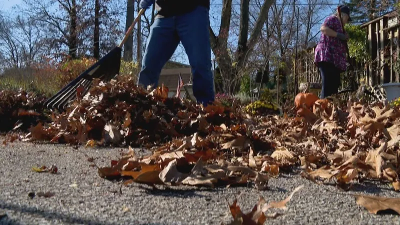 Elkhart, South Bend, St. Joseph County release fall leaf pickup schedules