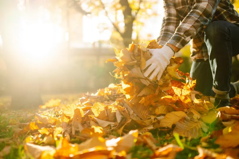 Everything to Know About Evansville's 2026 Fall Leaf Pickup Service