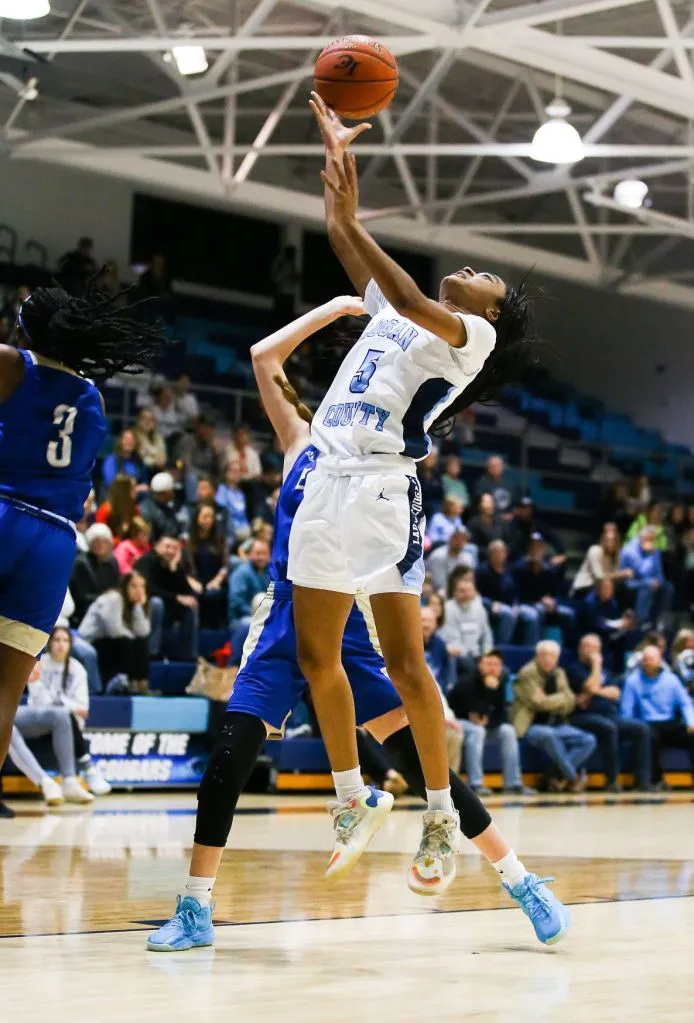 Andrews leads Raiders past Logan County