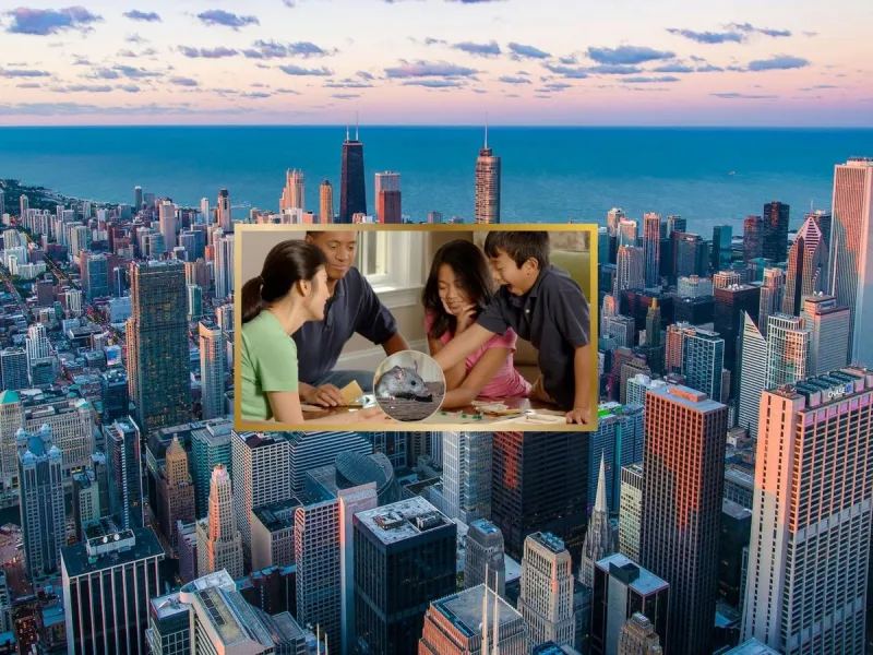 Funny New Board Game Based On Chicago Being Named Rattiest City