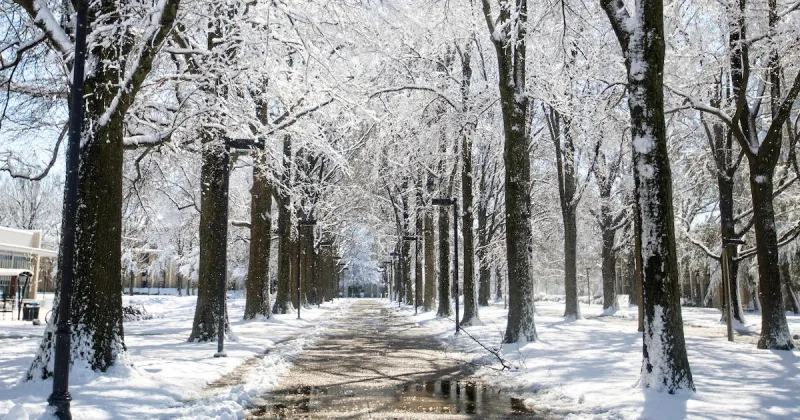 Campus updates for Winter Break
