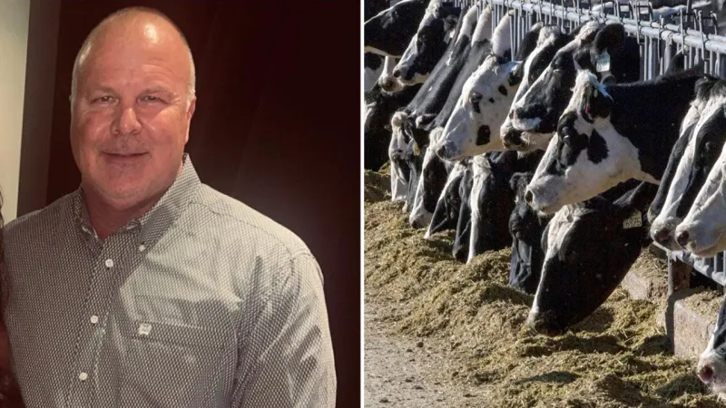 Victims of 'Bernie Madoff of cows' take on major banks in massive ghost cattle Ponzi scheme