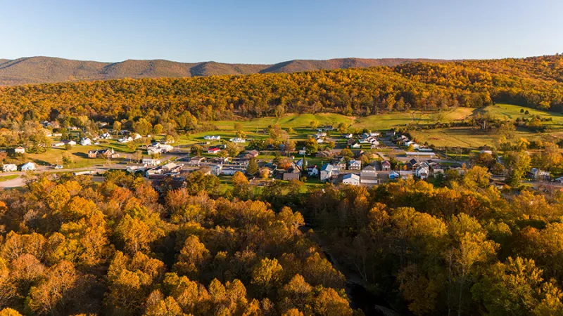 Hardy County's Fall Festivals: Where Heritage Comes Home